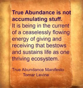 true-abundance-is-not